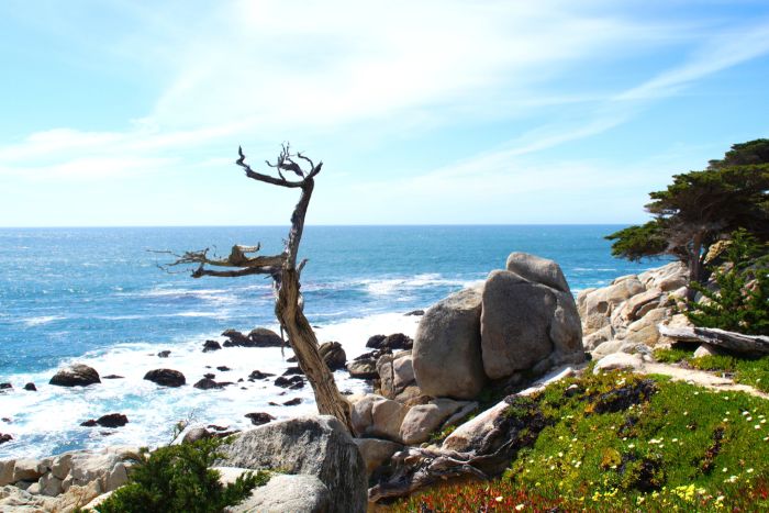 A Journey from Los Angeles to San Francisco